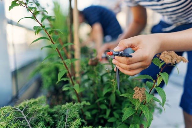 imgi_11_teenage-kids-assembling-and-installing-drip-irrigation-system-in-balcony-urban-garden
