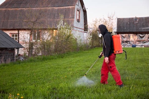imgi_15_farmers-spraying-pesticide-on-lawn-field-wearing-protective-clothing-insecticide-sprayer-with