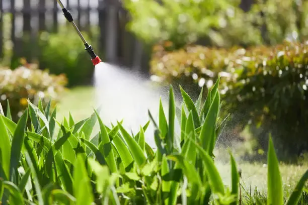 imgi_43_the-farmer-sprays-pesticides-on-the-garden-vegetable-garden-farm-to-protect-plants-from