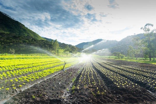 imgi_8_agricultural-field-and-irrigation