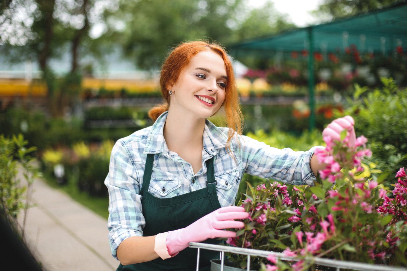 Affordable Lawn Care Services