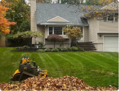 landscaping springfield mo