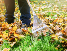 landscaping springfield mo