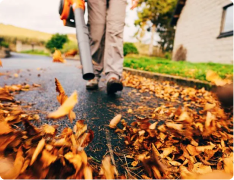 landscaping Springfield Missouri