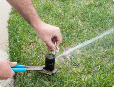 lawn aeration springfield