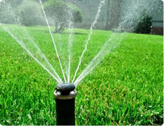 lawn aeration springfield