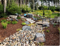 lawn aeration springfield