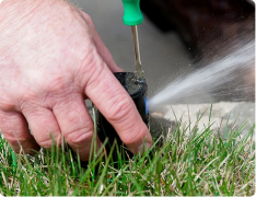 Springfield lawn aeration